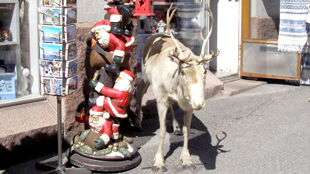 Santa and His Reindeer